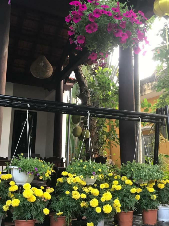 הוי אן Jackfruit Homestay מראה חיצוני תמונה